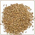 Cumin Seeds Image-3