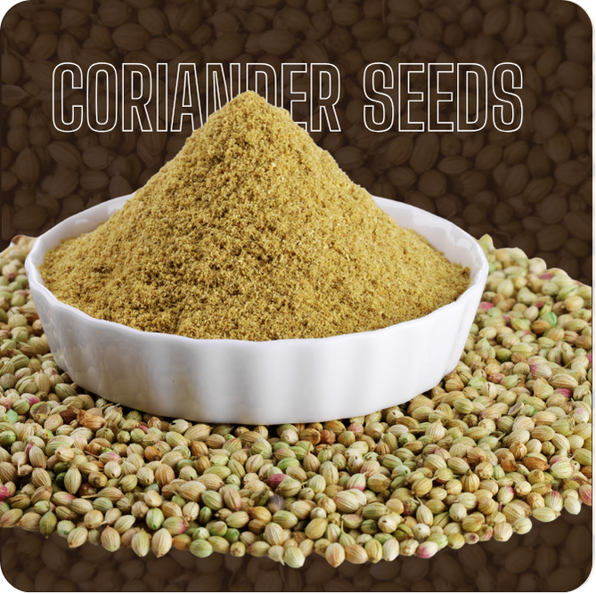 Coriander Seeds Coriander Seeds Image-2