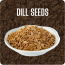 Dill Seeds Image-1