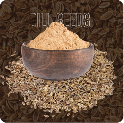 Dill Seeds Image-2