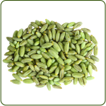Fennel Seeds Image-3