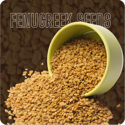 Fenugreek Seeds Image-2