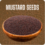 Mustard Seeds Image-1